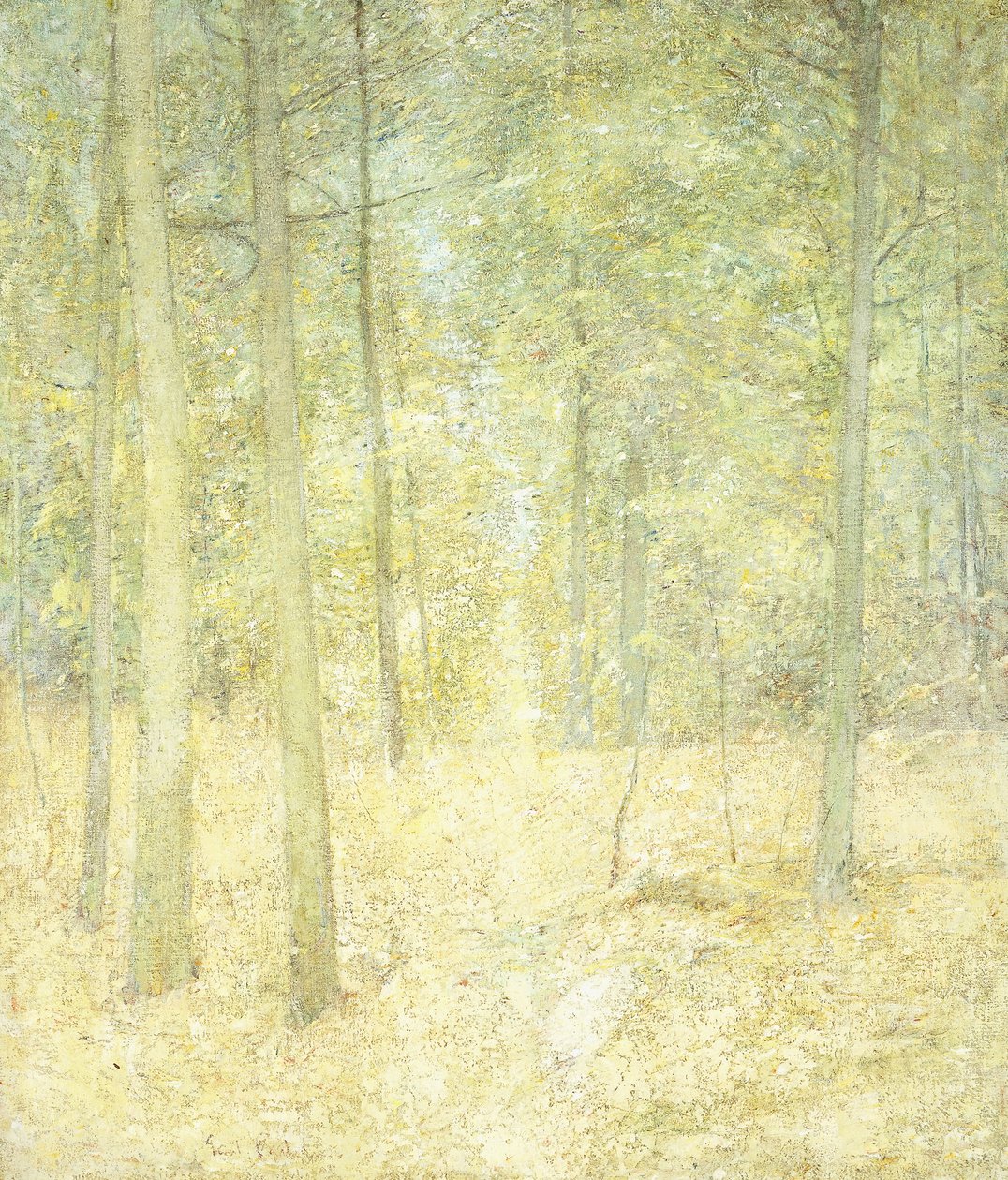 Orman Manzarası by Emil Carlsen