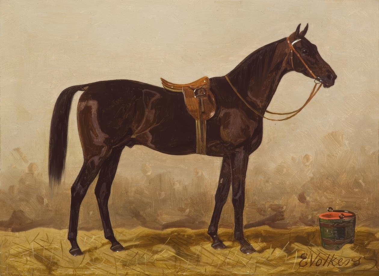 E.Volkers, Gesattelter Rappe by Emil Volkers