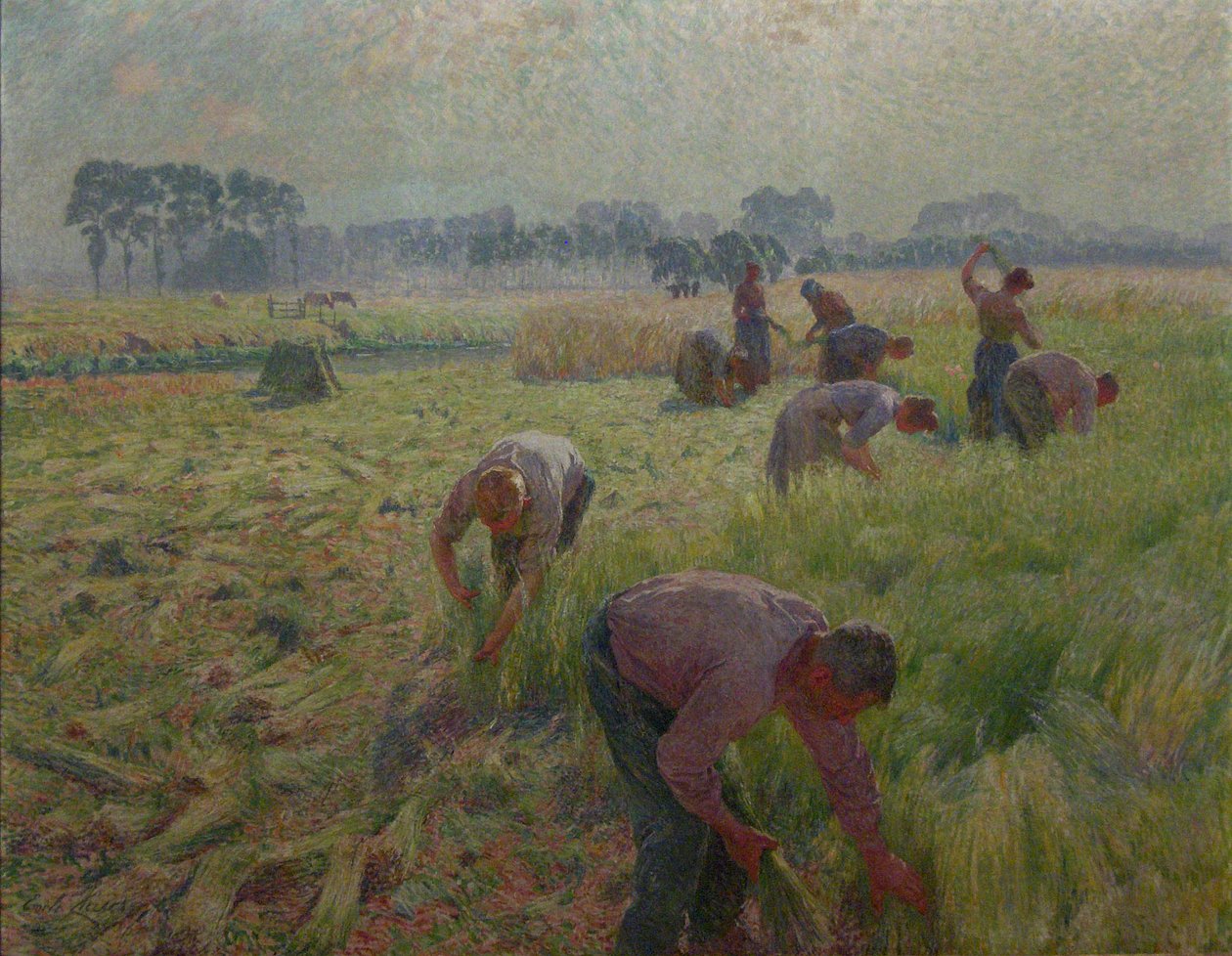  Flax harvestingnNederlands: De vlasoogstn by Emile Claus