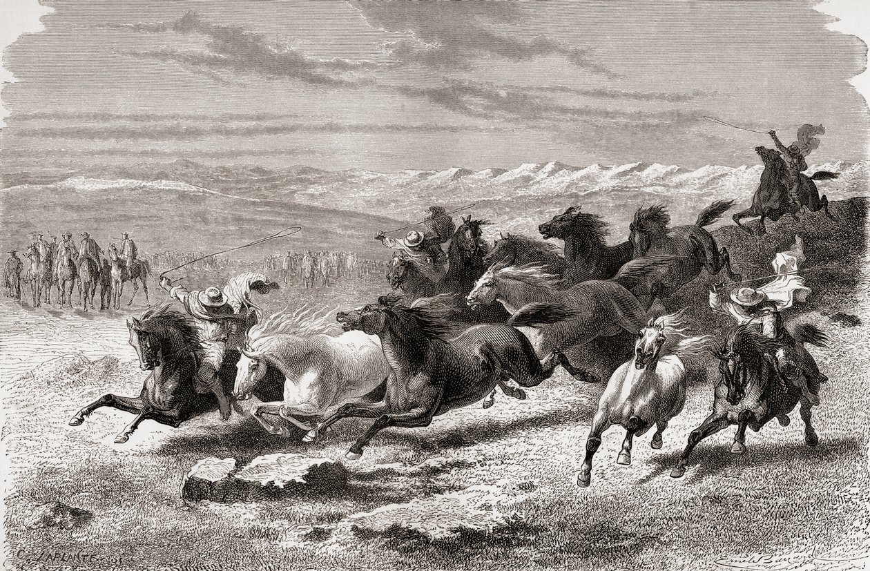 Vahşi atları toplayan Arjantin gauchoları, Charles Laplante (d.1903) tarafından kazınmış 