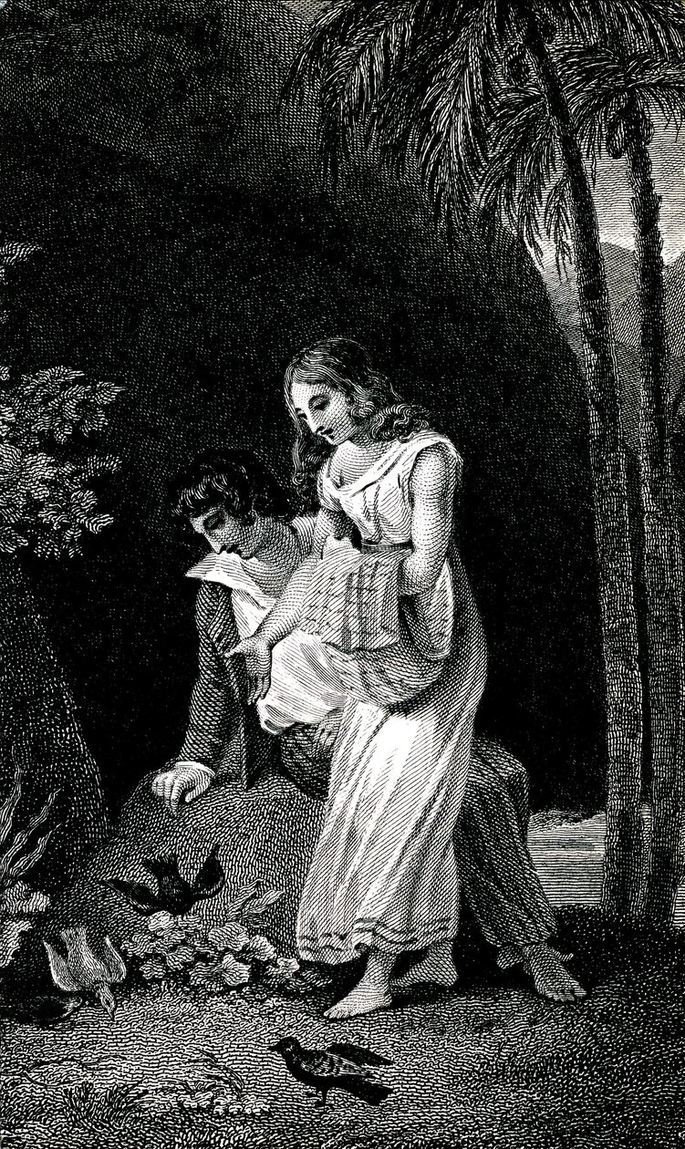Jacques-Henri Bernardin de Saint Pierre (Jacques Henri Bernardin de Saint-Pierre) tarafından yazılan romanın 19. yüzyılın sonlarına ait bir baskısını gösteren gravür: Paul et Virginie. Kuşlar, ormandaki genç aşık çiftin yanına korkusuzca inerler. b çizimi by Emile Antoine Bayard