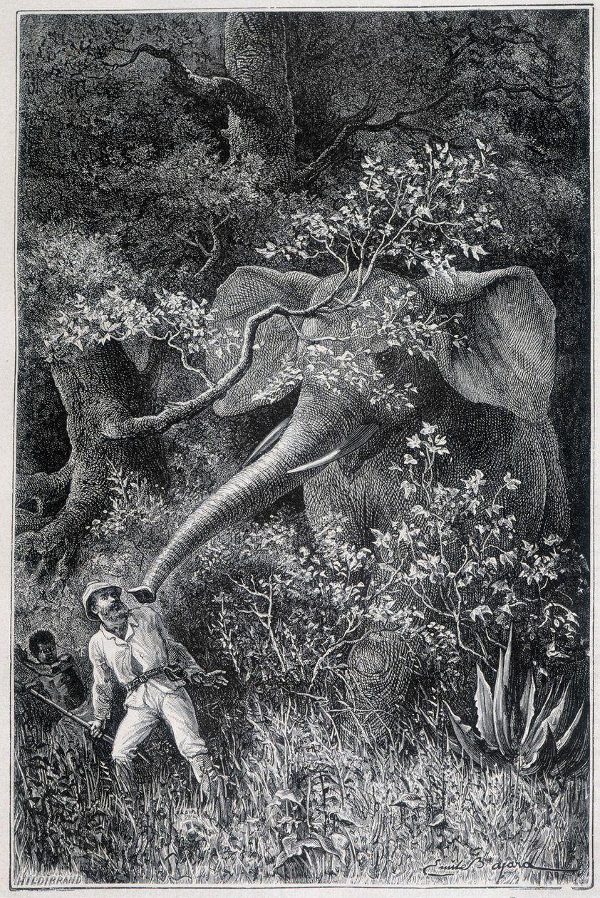 Livingstone, "Le Tour du Monde"da bir fil tarafından şaşırttı by Emile Antoine Bayard
