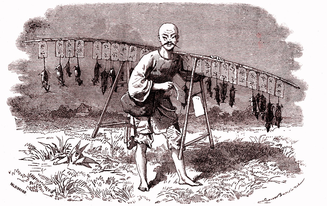 Çin'de fare katili. 1874 (gravür) by Emile Antoine Bayard