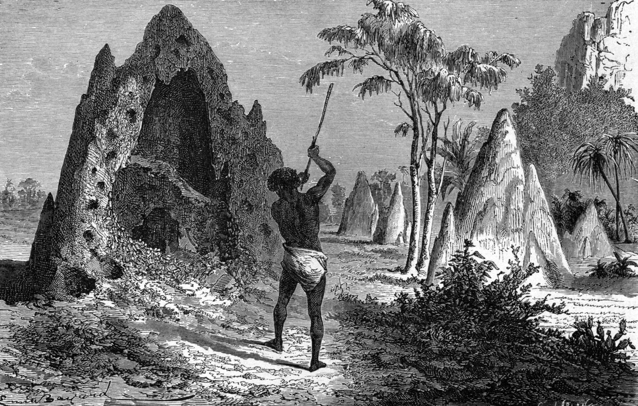 Savaşçı termitler (termitiere) köyü, Afrika. Gravür 1897 by Emile Antoine Bayard