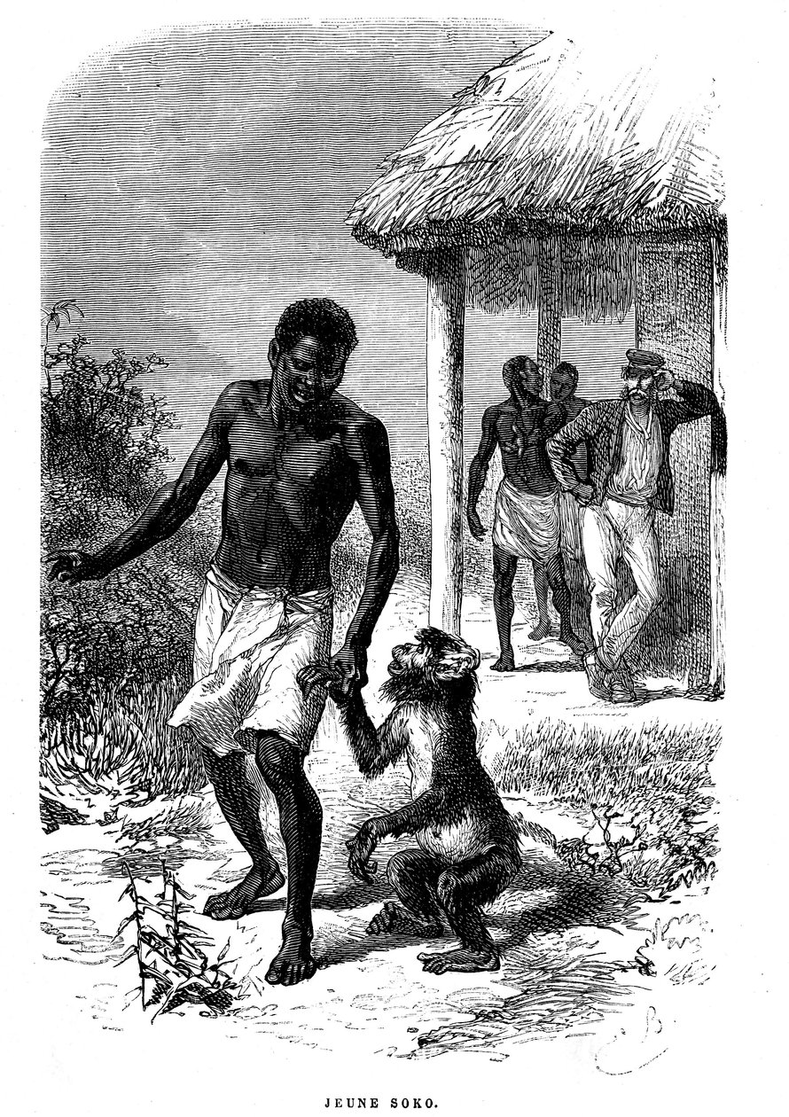 Afrika