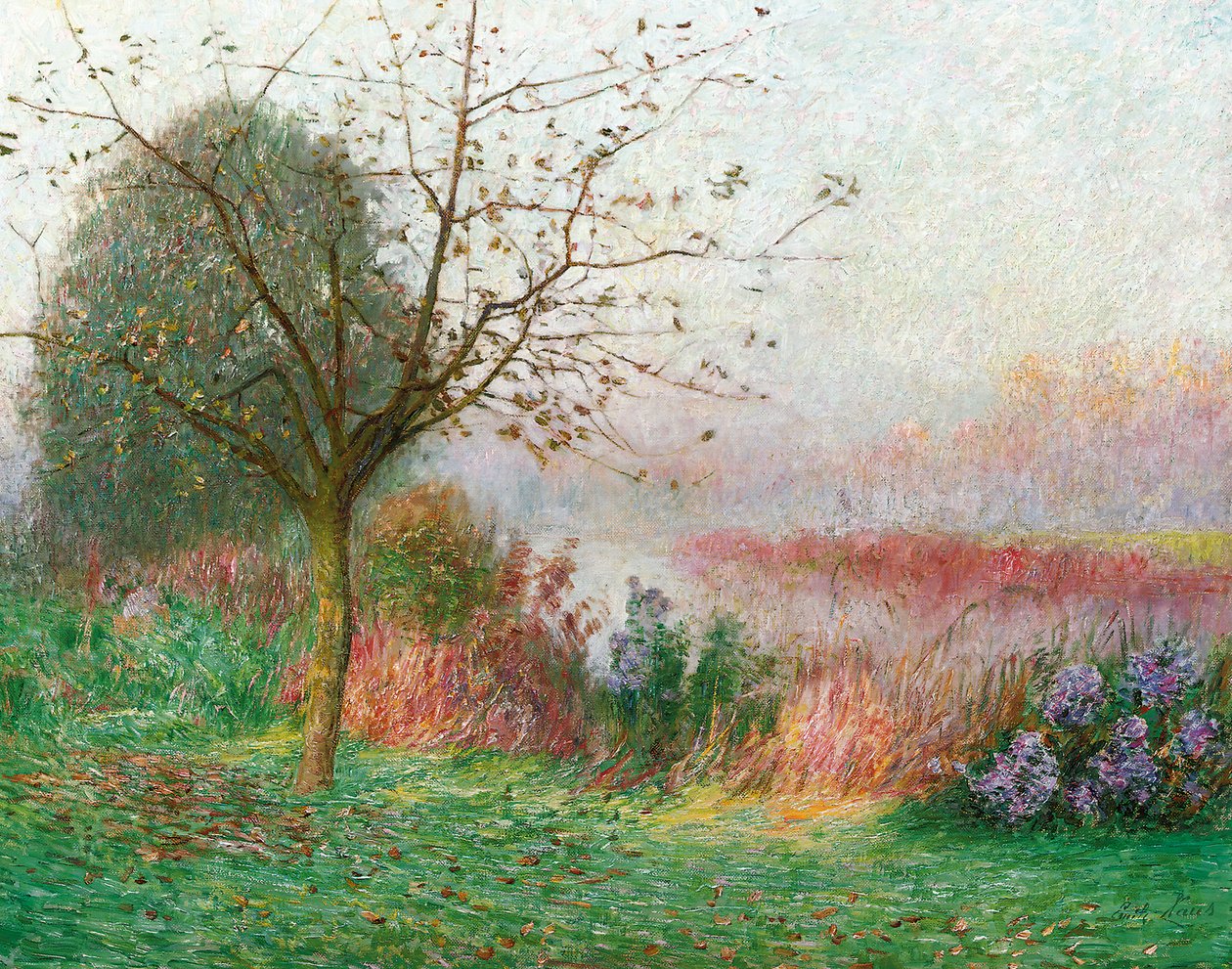 Lys Nehri