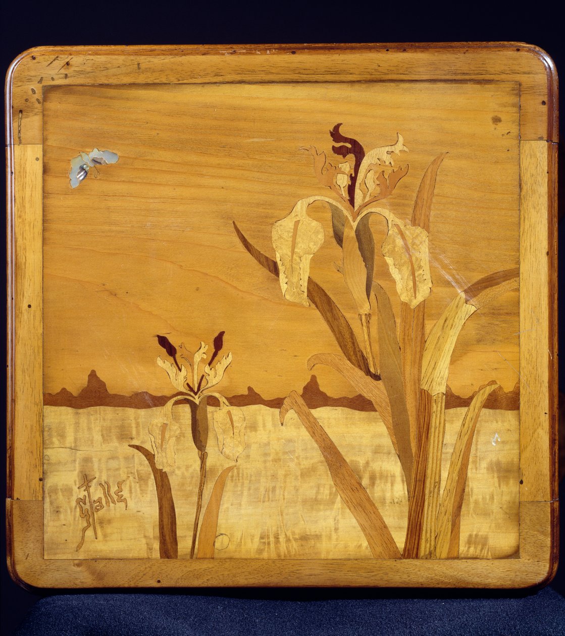 Art Nouveau style table, by Emile Galle (1846-1904), walnut with veneer finish and various woods, detail, France, 20th century by Emile Galle