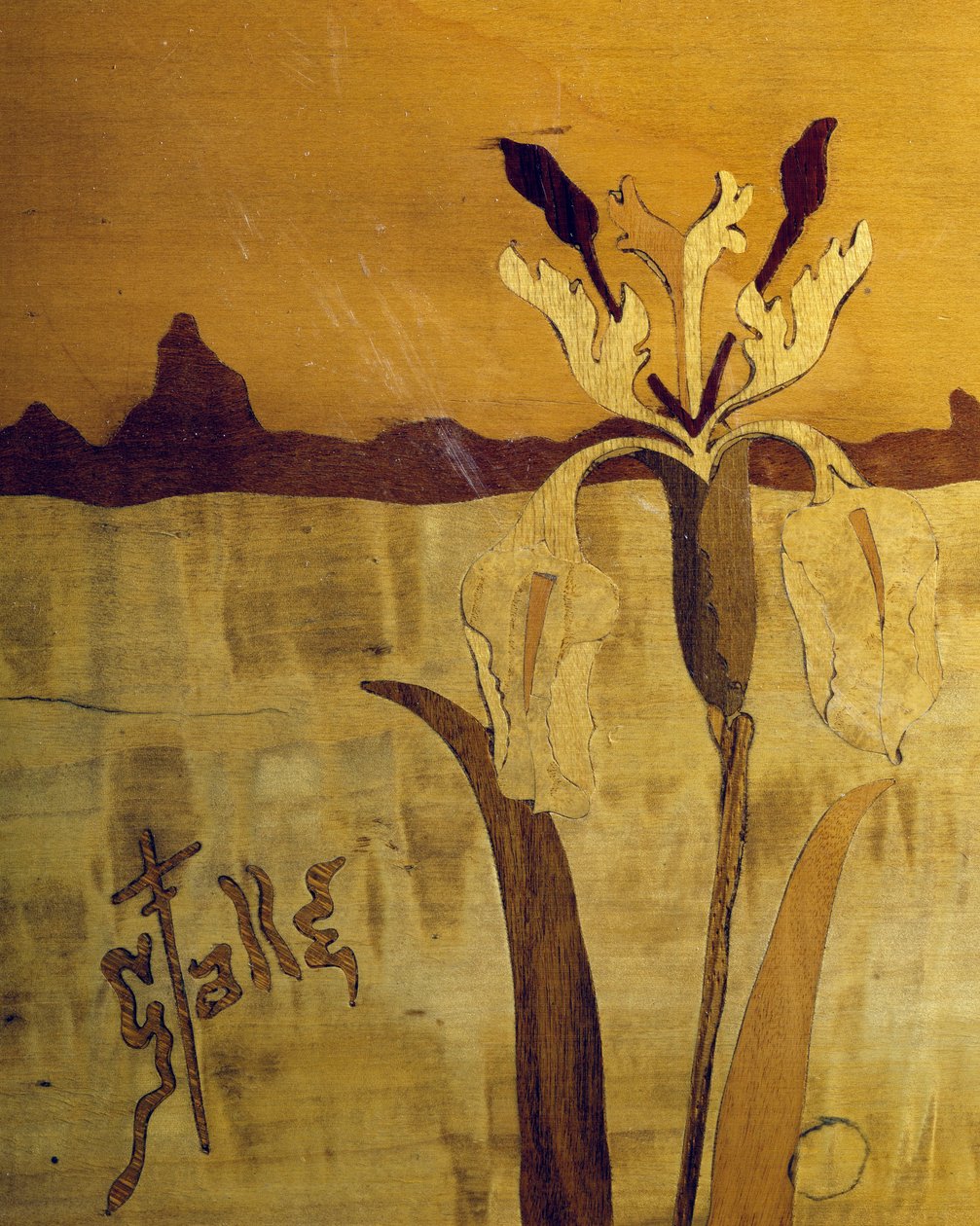 Art Nouveau tarzı masa, Emile Galle (1846-1904), cilalı ceviz ve çeşitli ahşaplar, detay, Fransa, 20. yüzyıl by Emile Galle