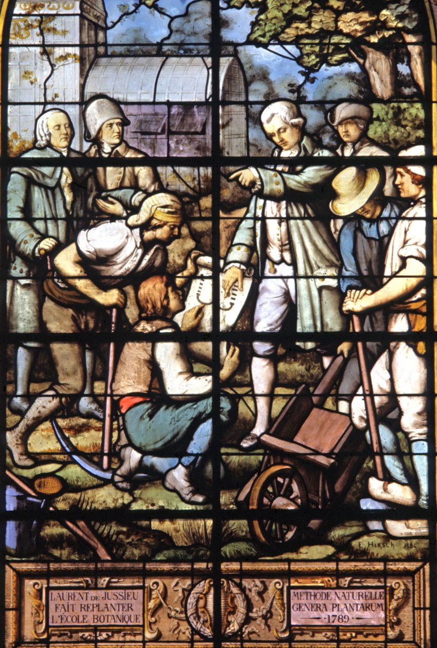 Jussieu, Botanik Okulu'nu yeniden yerleştirdi, c.1885 (vitray) by Emile Hirsch