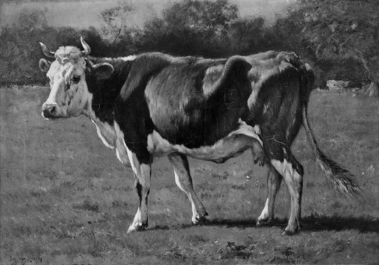  by Emile van Marcke de Lummen