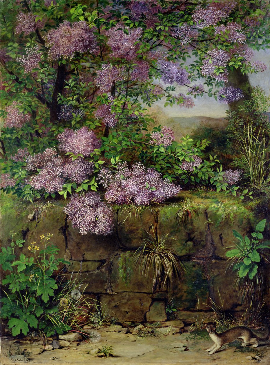 Duvarın Önünde Çiçek Açan Leylaklar by Emilie von der Embde