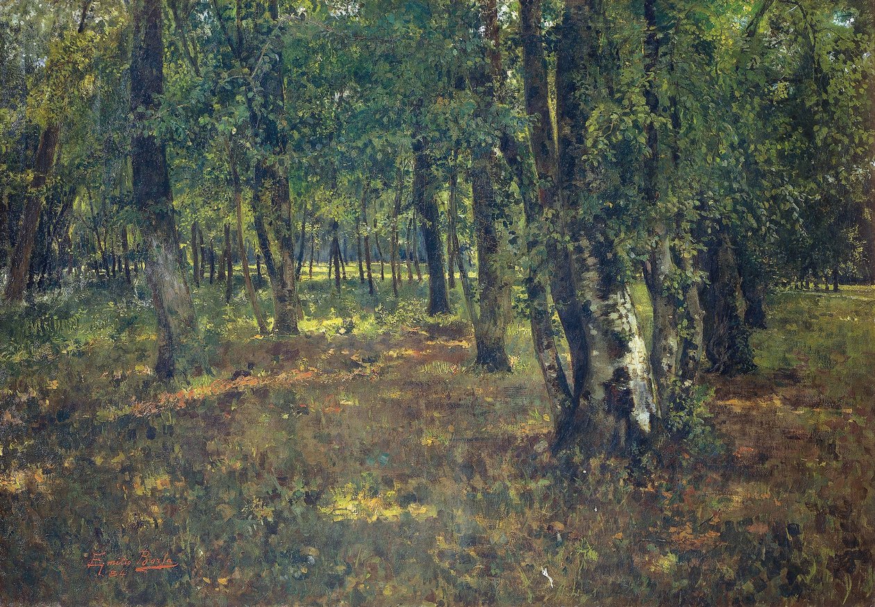 Ahşap, Emilio Borsa (1857-1931) by Emilio Borsa