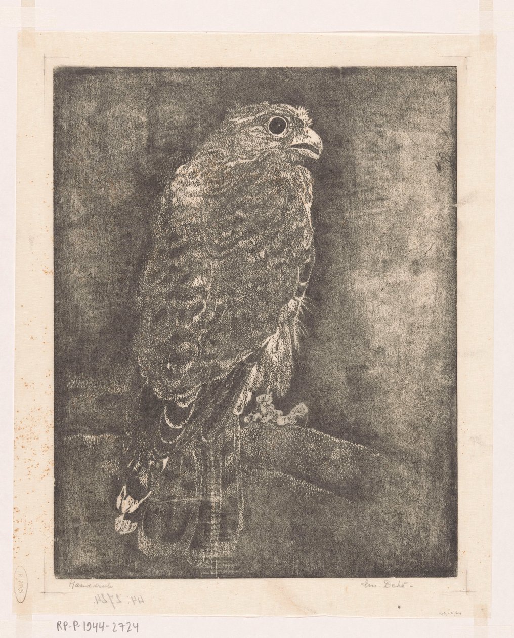 Bir dal üzerinde şahin by Emilius Wilhelmus Dehé (signed by artist)