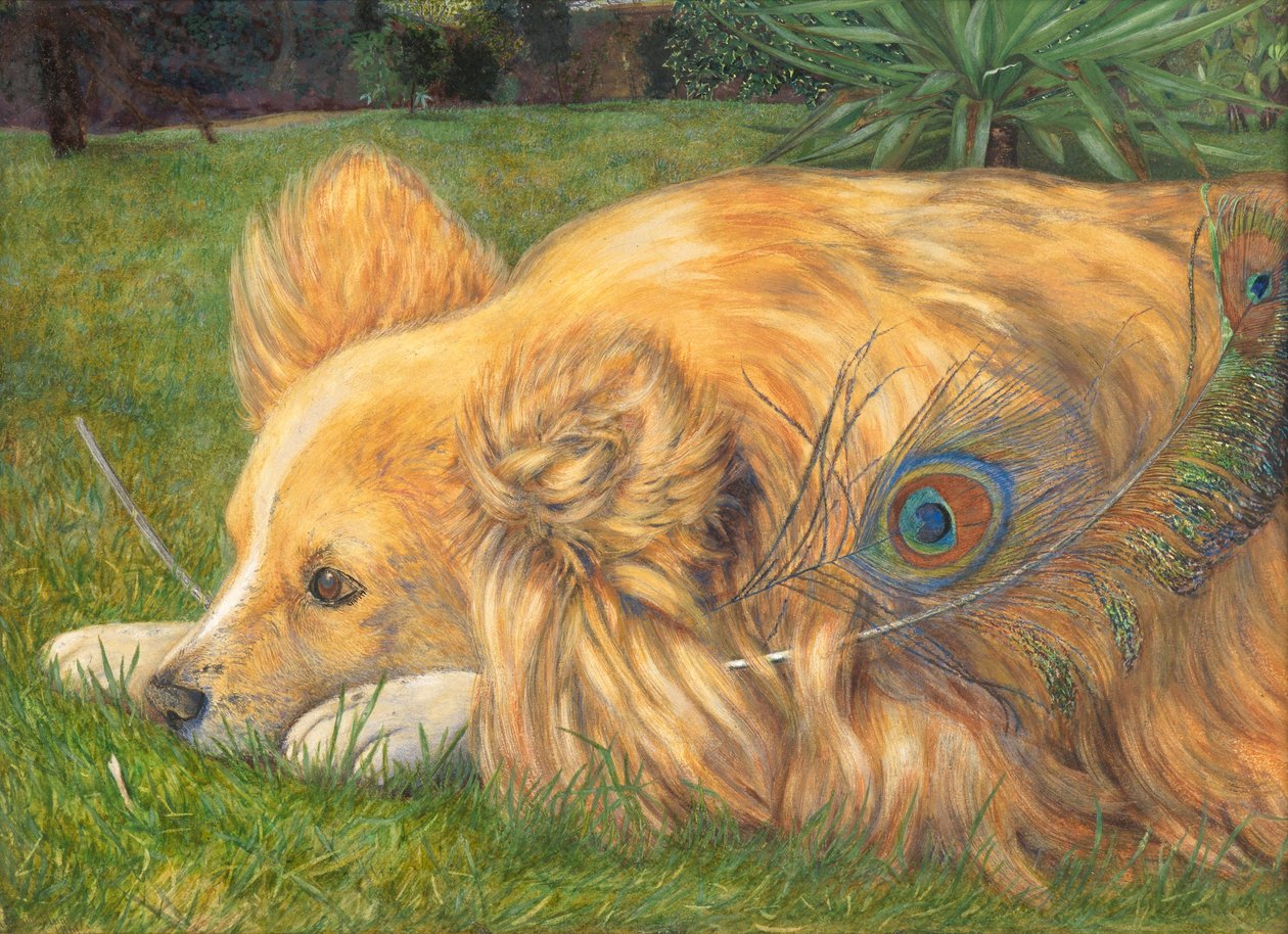 Kıskanç Jessie, 1861 (gövde rengiyle kabartılmış kurşun kalem izleri ve çizikler üzerinde wc) by Emily and Hunt, William Holman Hunt