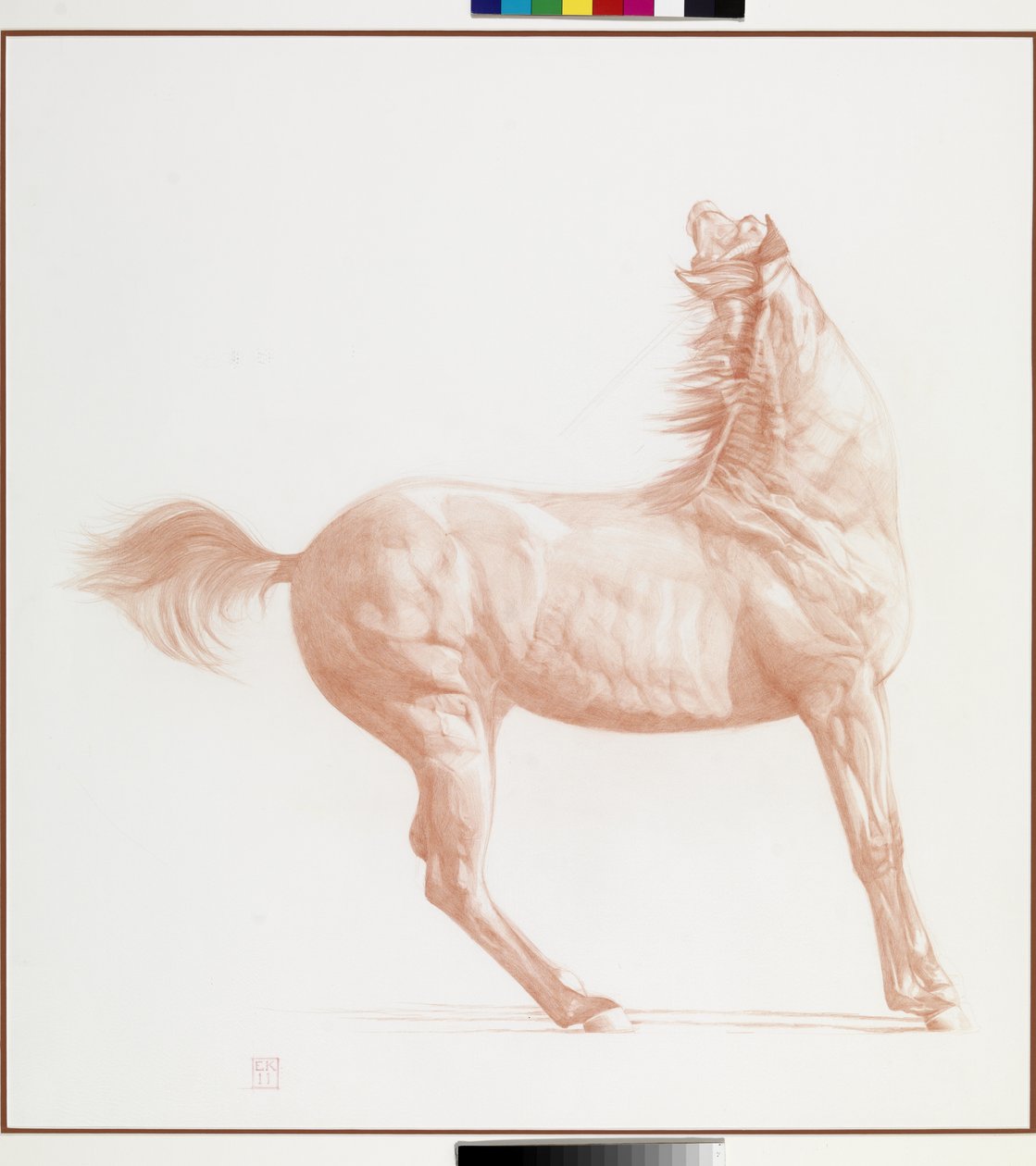 ಕಿಕಿಂಗ್ ಆಫ್, ಸರಣಿ 1, 2011 (ಕಾಗದದ ಮೇಲೆ ಚಾಕ್) turk by Emma Kennaway