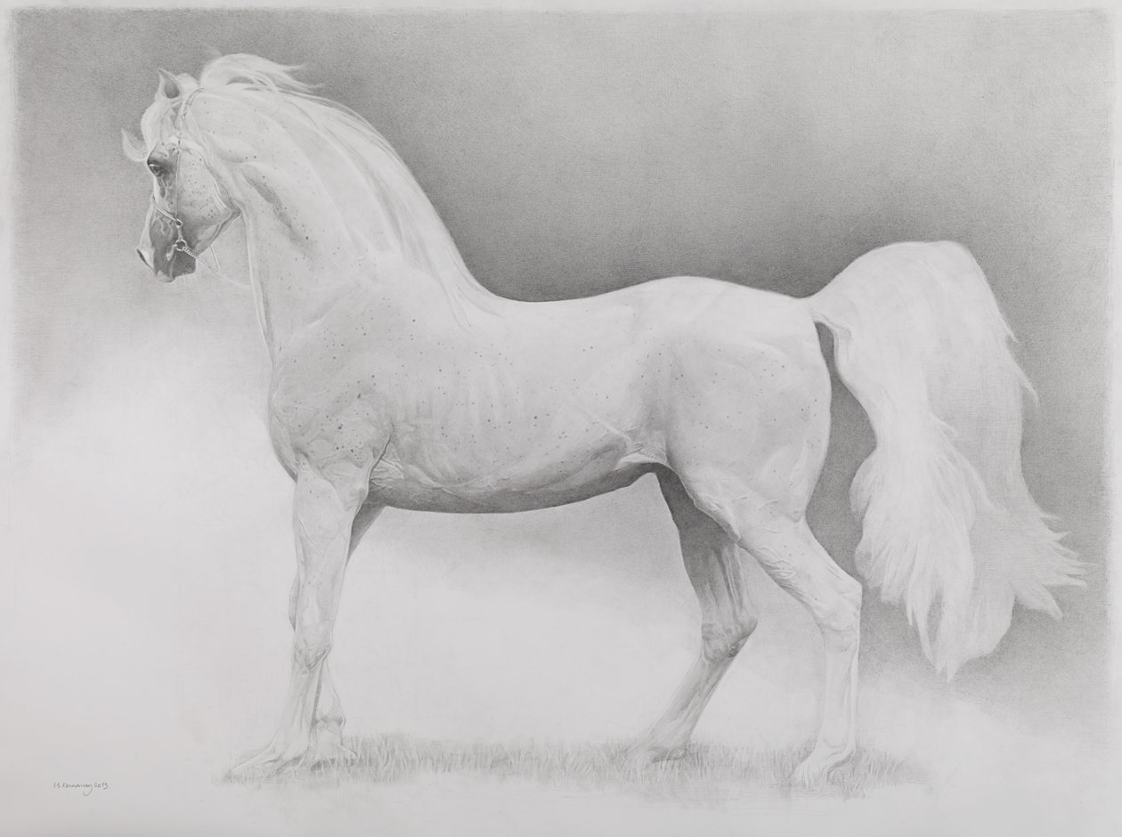 Hareketli Görüntü, Seri 2, 2013 (kağıt üzerinde grafit) by Emma Kennaway
