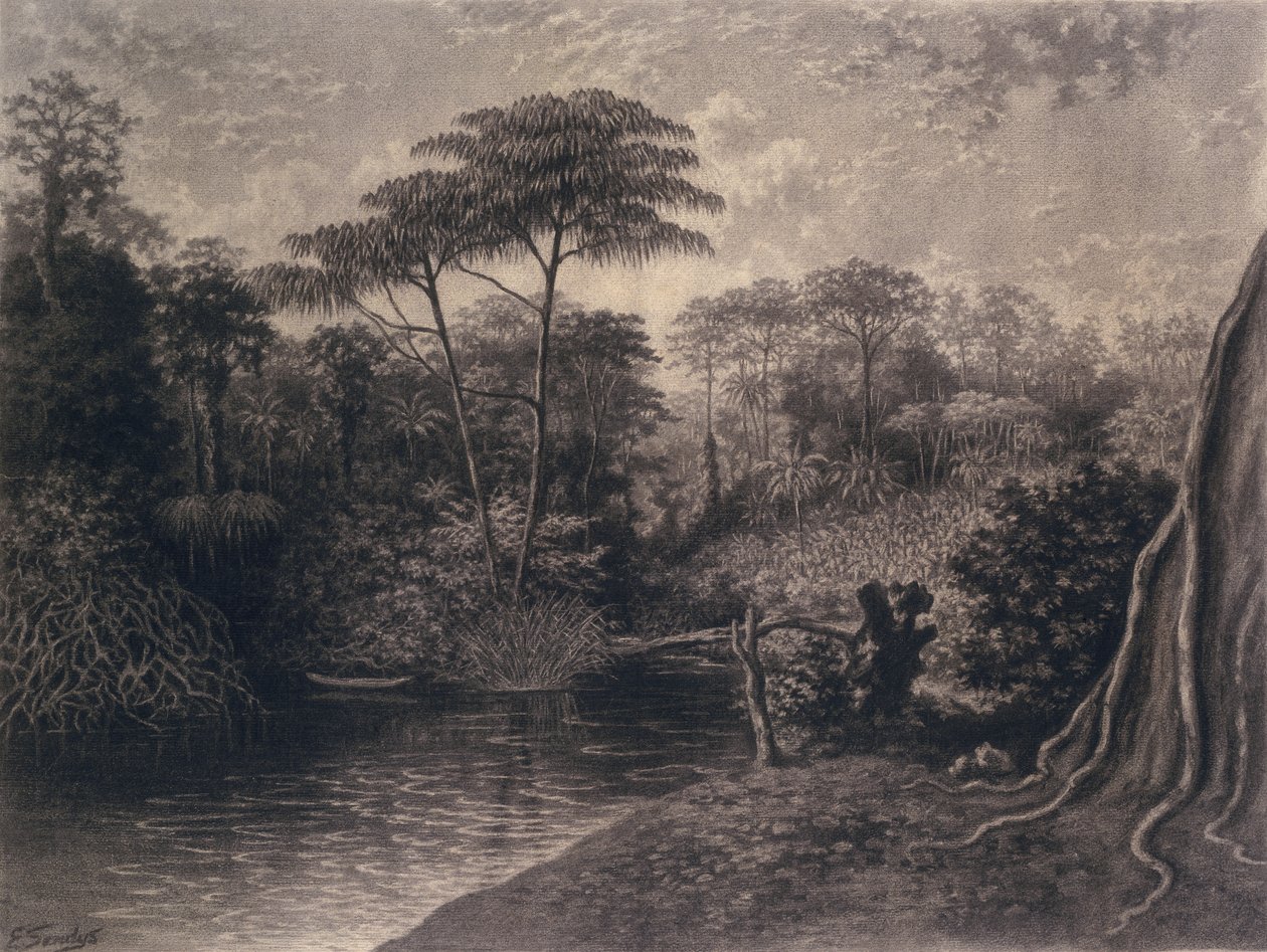 Kamerun Nehri manzarası, Ambes Körfezi, Afrika, 1877 (kağıt üzerinde kömür) by Emma Sandys