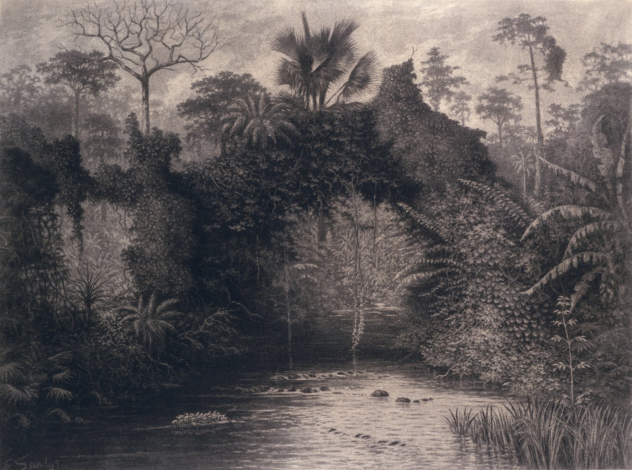 Biafra Körfezi manzarası, Batı Afrika, 1877 (kağıt üzerinde kömür) by Emma Sandys