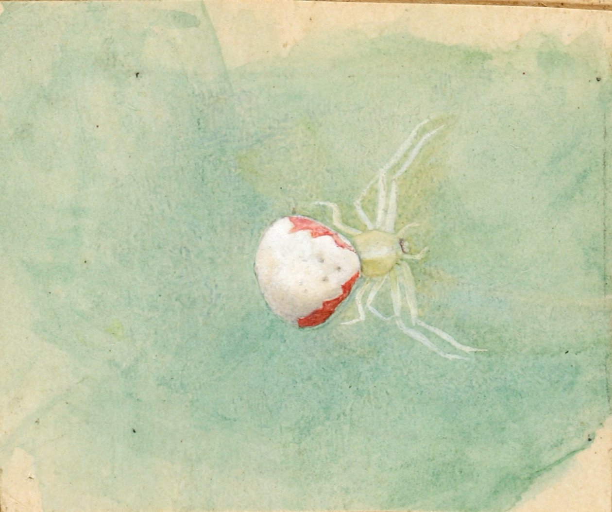 by Emma Beach Thayer
