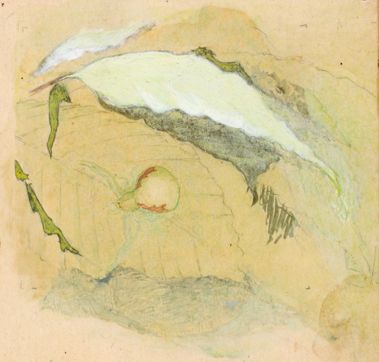 Porselen-Beyaz Örümcek, 19. yüzyılın sonları ve 20. yüzyılın başlarında. by Emma Beach Thayer
