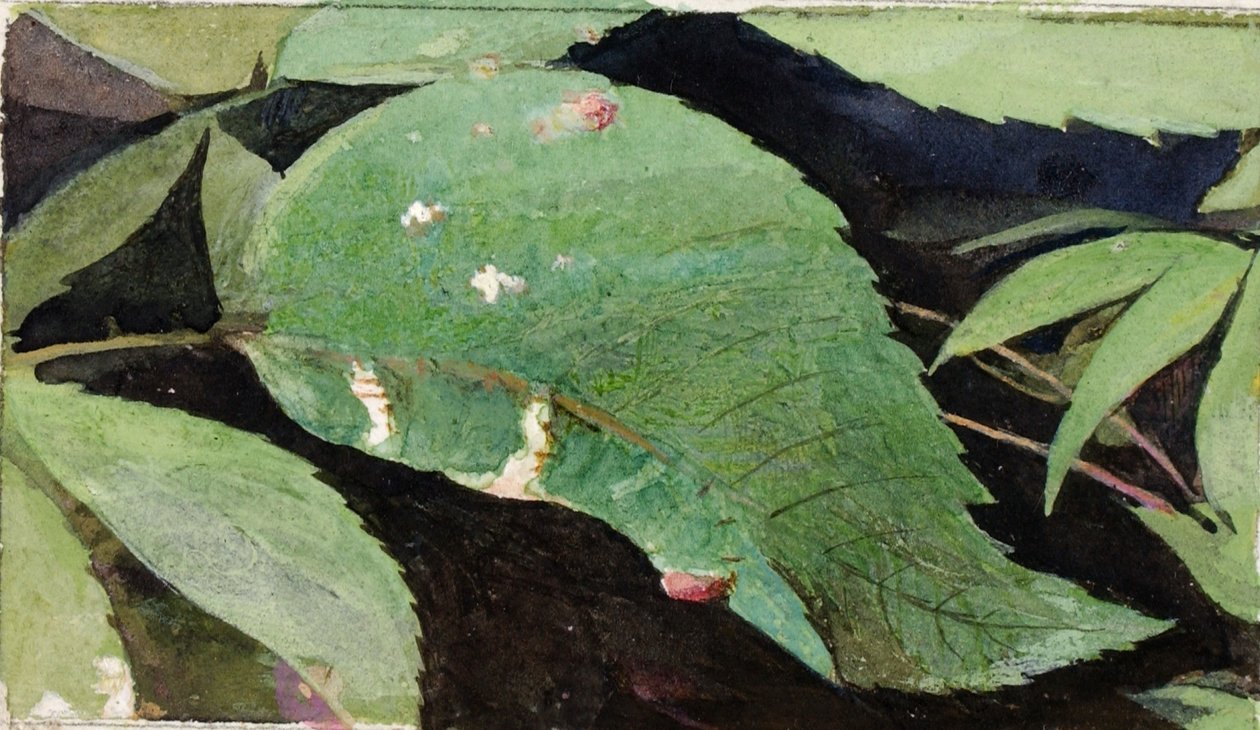  by Emma Beach Thayer
