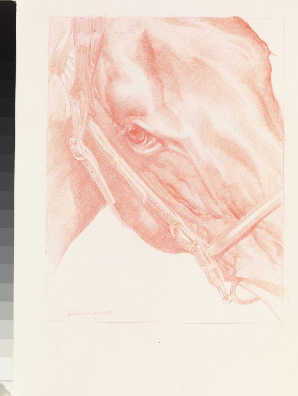 Portre Kafası, 2012 (kağıt üzerine kırmızı tebeşir) by Emma Kennaway