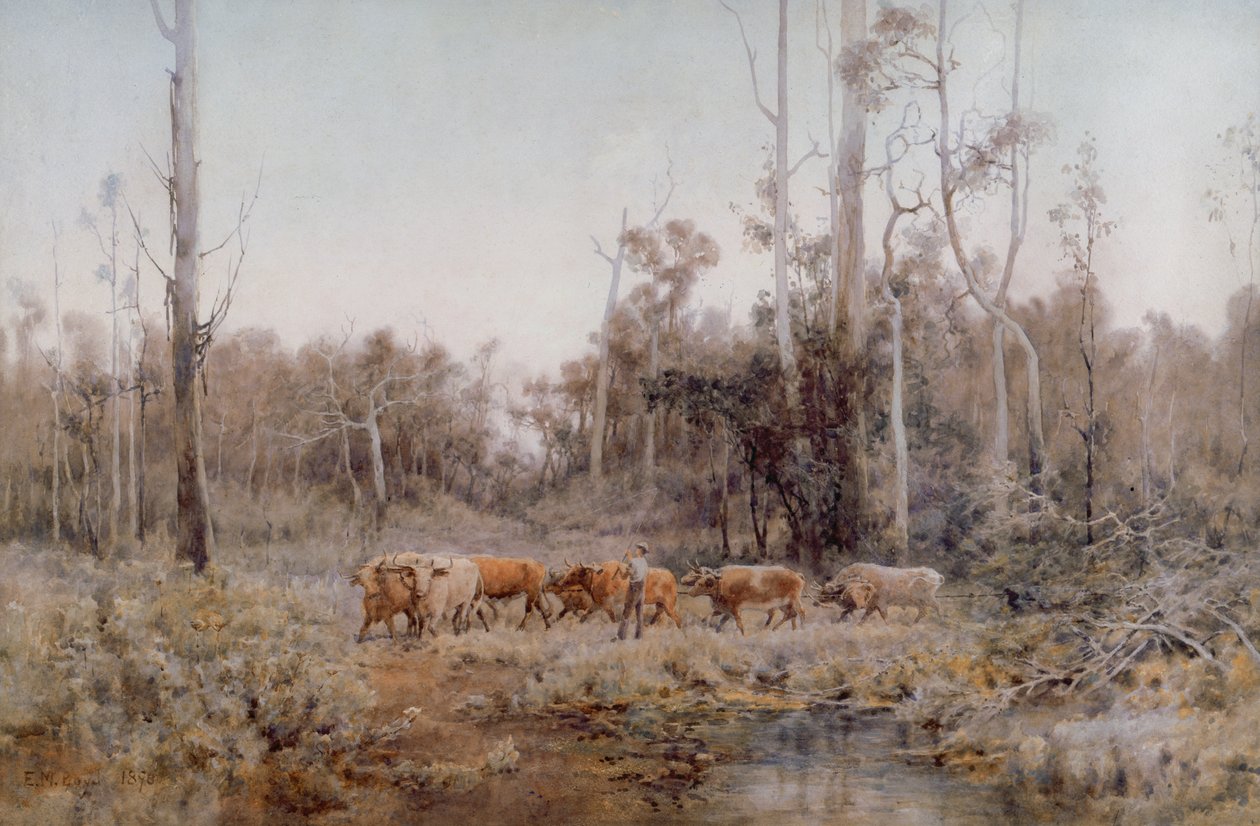 Bullock Takımı by Emma Minnie Boyd