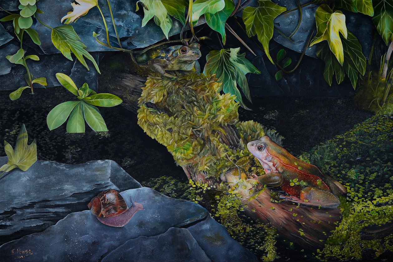 Pond Life, 2021 (tuval üzerine yağlıboya) by Emma Pewsey