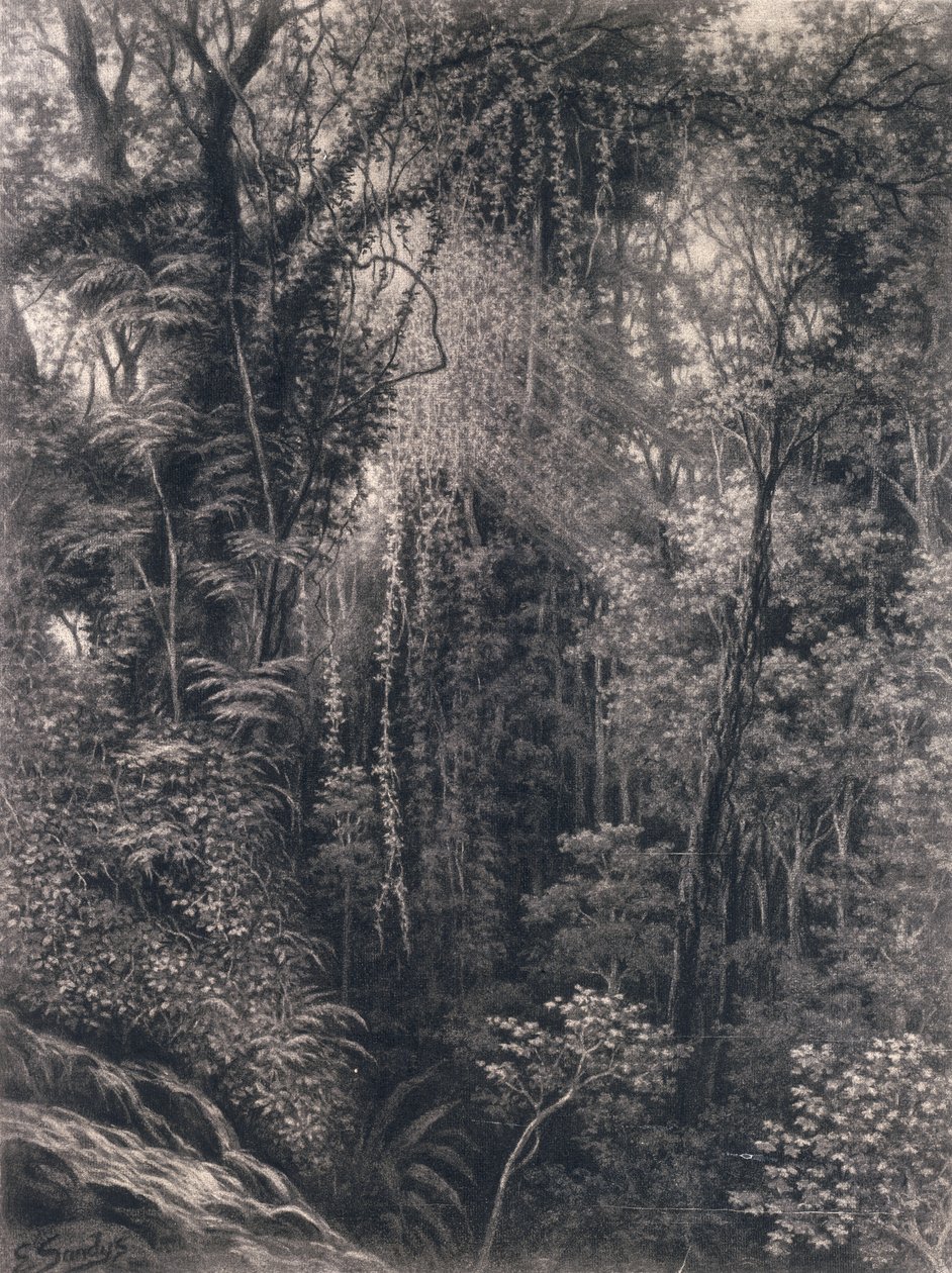 Apia, Upolu, Batı Samoa, 1877'nin üzerindeki Gorge'un görünümü (kağıt üzerinde kömür) by Emma Sandys