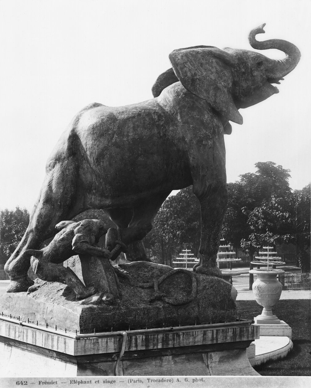 Genç Fil, 1878, 1878