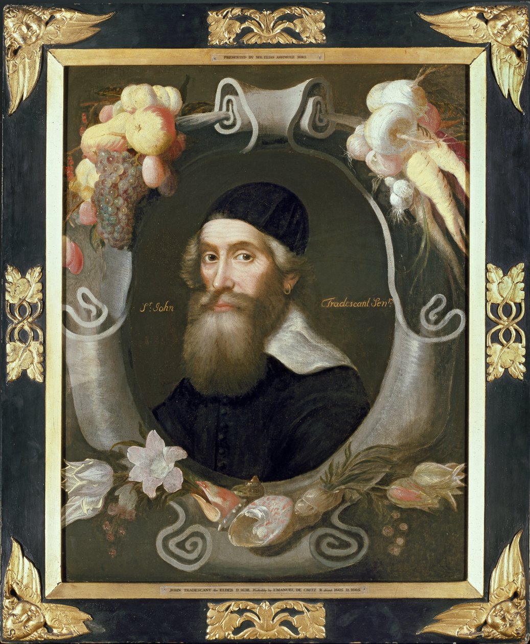 Yaşlı John Tradescant, 17. yüzyıl by Emmanuel de Critz