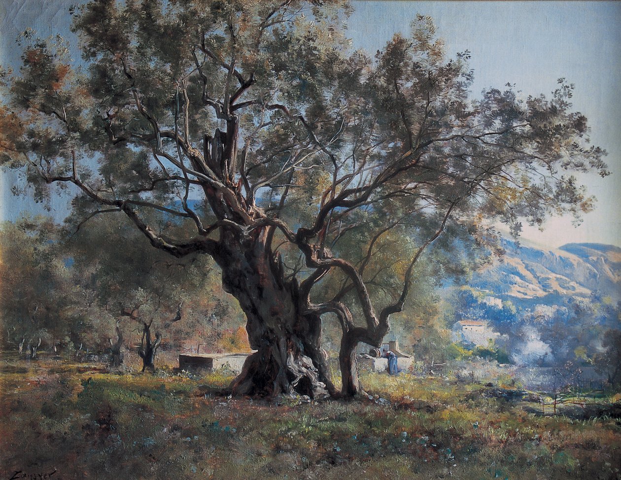 Vallonnet'te yolun kenarındaki zeytin ağaçları by Emmanuel Lansyer