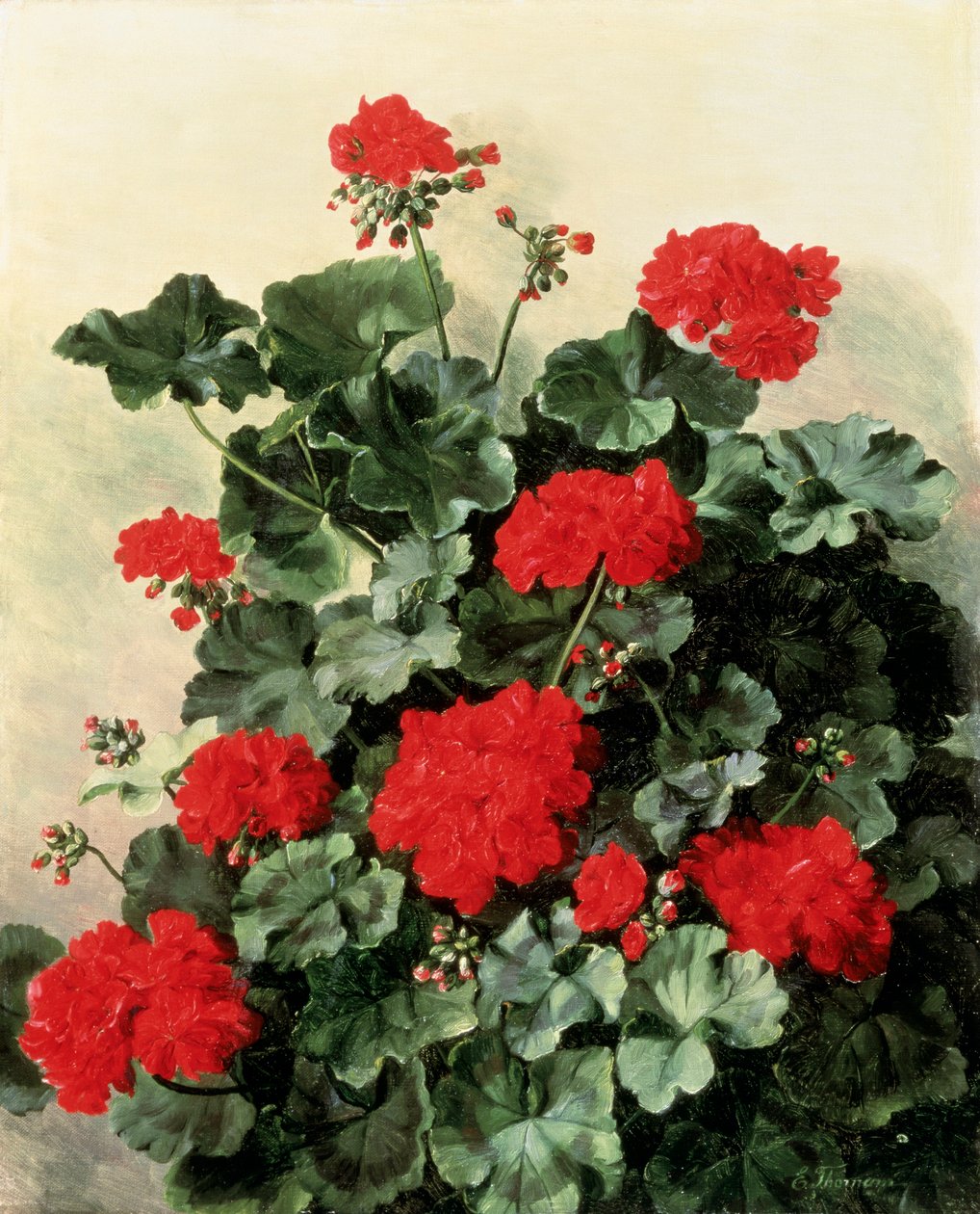 Kırmızı sardunyalar. Emmy Marie Caroline Thornam (1852-1935) tarafından tuval üzerine yağlıboya. Özel koleksiyon. by Emmy Thornam