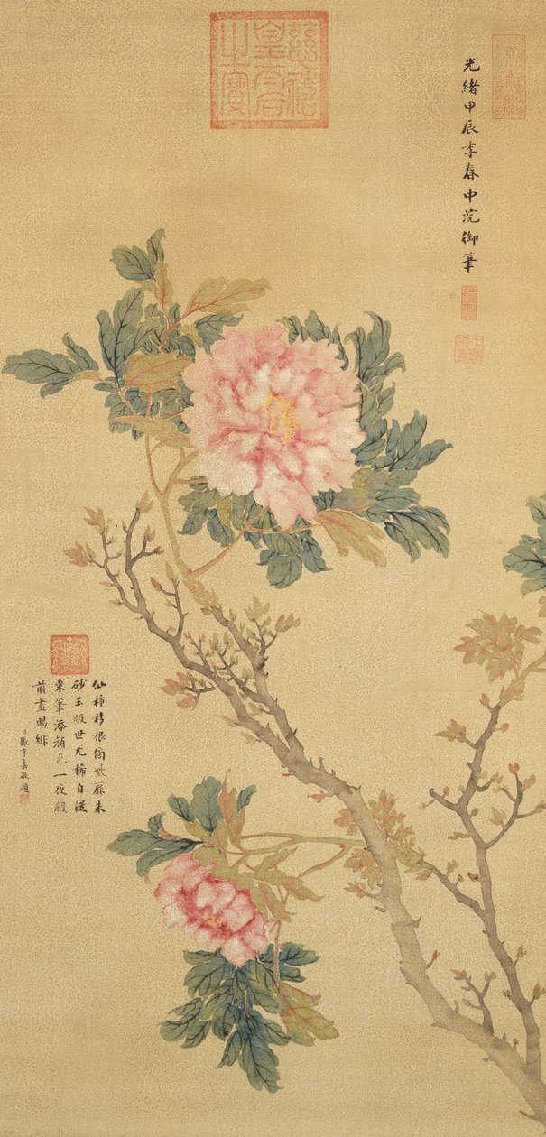 Şakayık, Qing Hanedanlığı (ipek üzerine mürekkep ve renk) by Empress Cixi Manchu-Chinese