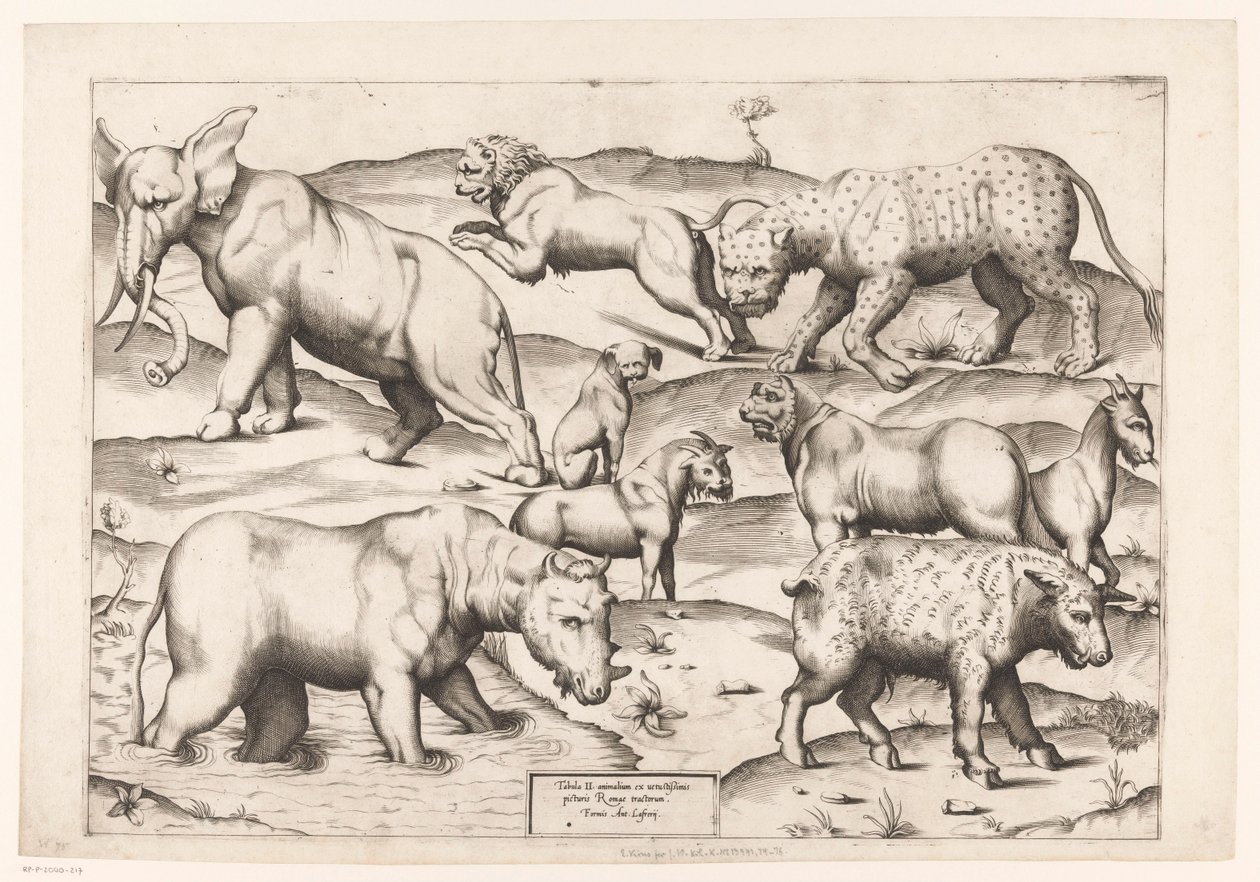 Dokuz hayvan Hayvanlardan antika duvar resimlerine (seri başlığı) Speculum Romanae Magnificentiae (dizi başlığı) by Enea Vico (attributed to)