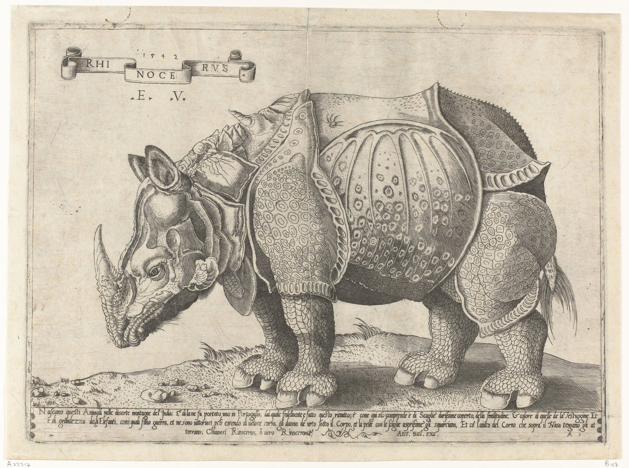 Neushoorn Gergedan (nesne üzerindeki başlık) by Enea Vico