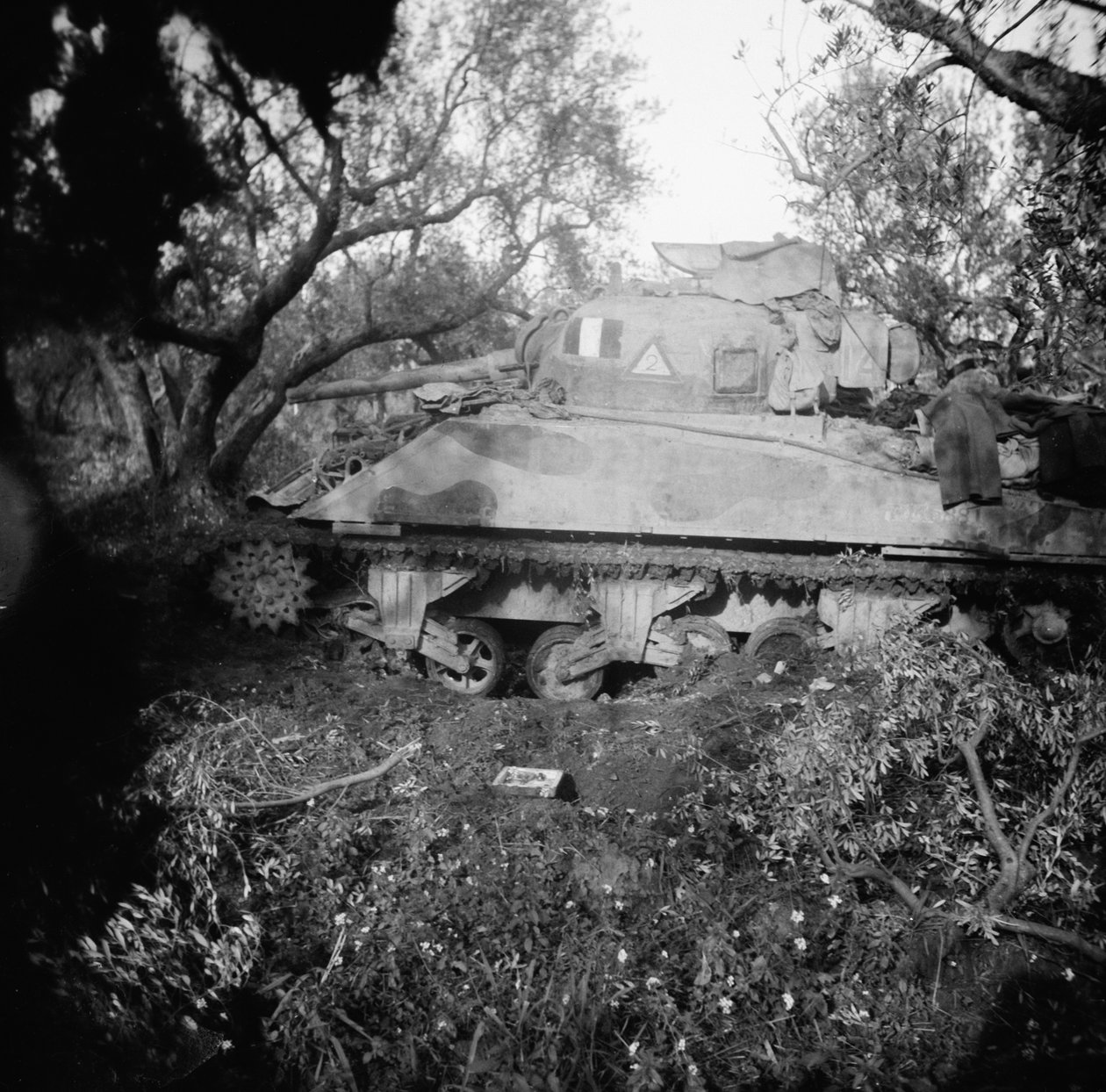 2Tp tankı mayın tarlasında patlatıldı, c.1944 by English Photographer