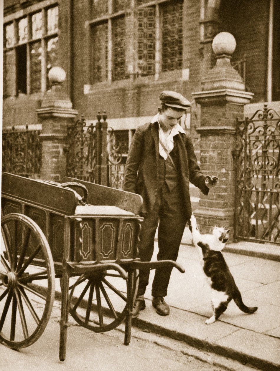 Bir kedi için et tutan bir kedi eti adam (sepya fotoğrafı) by English Photographer