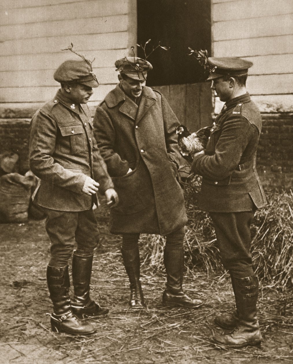 Tipik bir İngiliz grubu: Noel için ökse otu giyen askerler ve bir tavuk, The Illustrated War News'den bir illüstrasyon (sepya fotoğrafı) by English Photographer