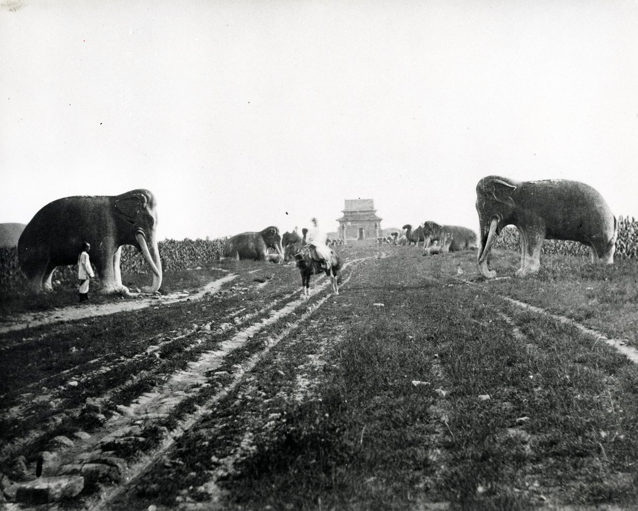 Ming Mezarlarına Giden Koruyucu Hayvanlar Bulvarı, Pekin, c.1868-70 by English Photographer