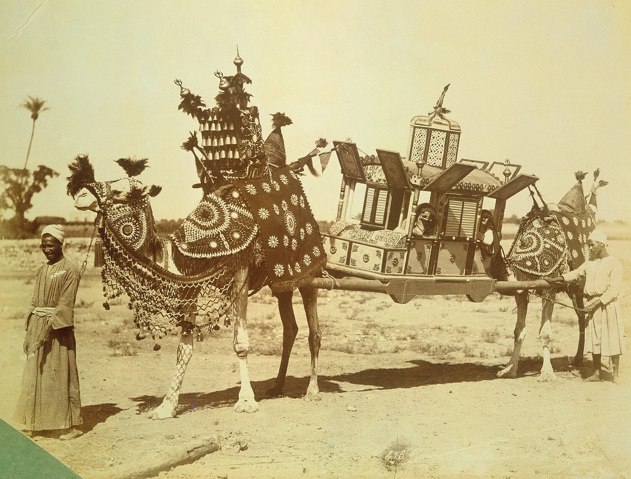 Gelin Palanquin, Kahire, Mısır, c.1878 by English Photographer
