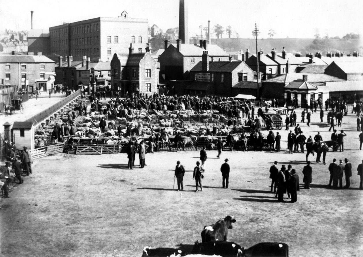 Sığır ve toptancı pazarı, Kidderminster, 1900 by English Photographer