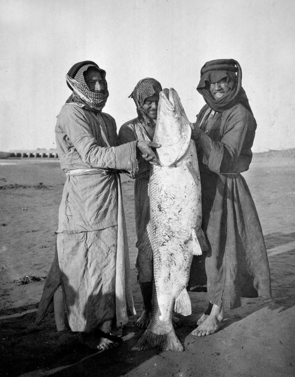 Büyük balıklı sivil Araplar, 1914-18 by English Photographer