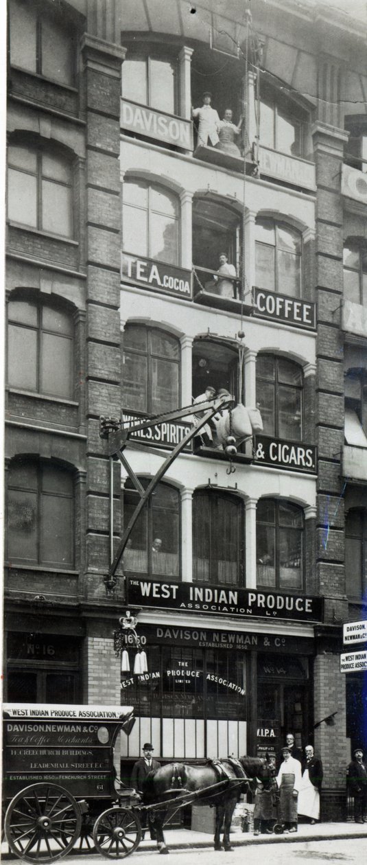 Davison Newman ve arkadaşları, Creechurch Lane, Londra c.1920 by English Photographer