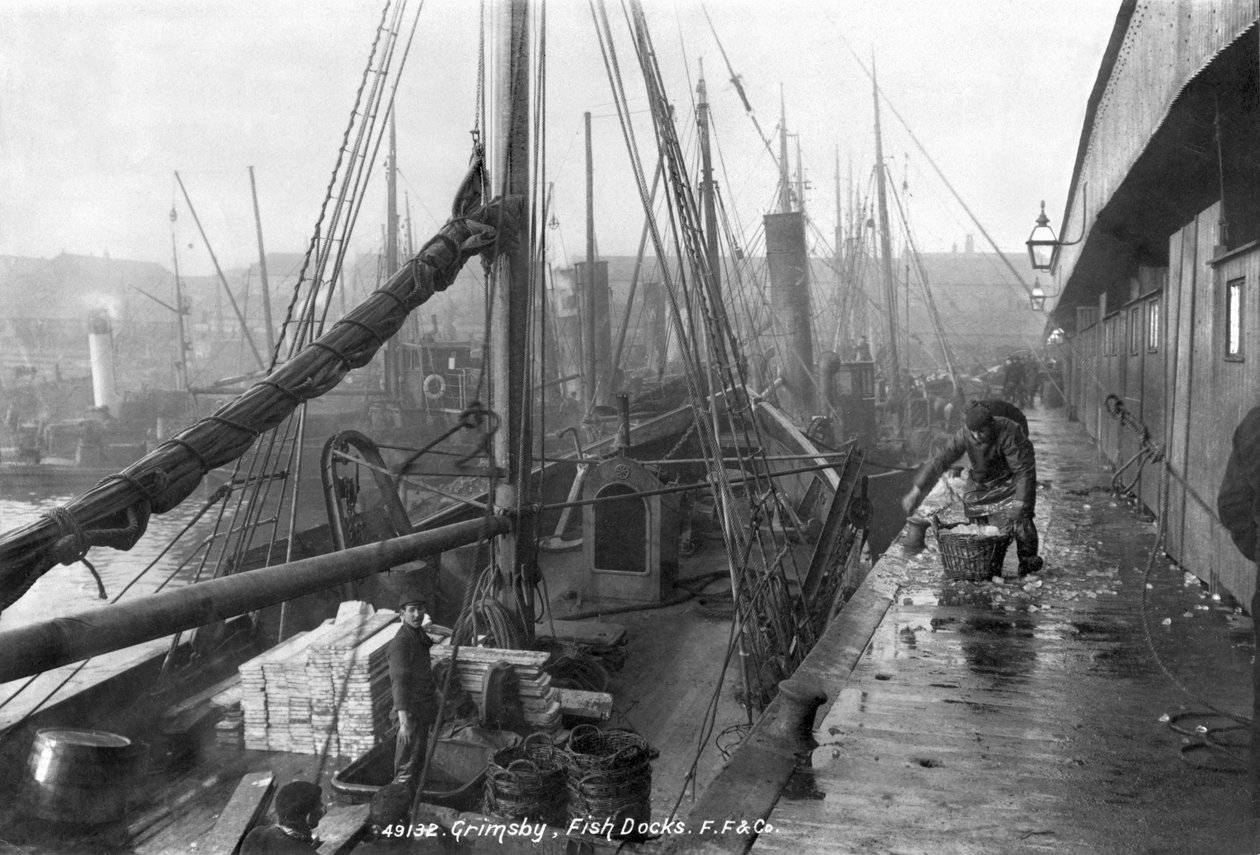 Balık rıhtımları, Grimsby, 20. yüzyılın başlarında by English Photographer