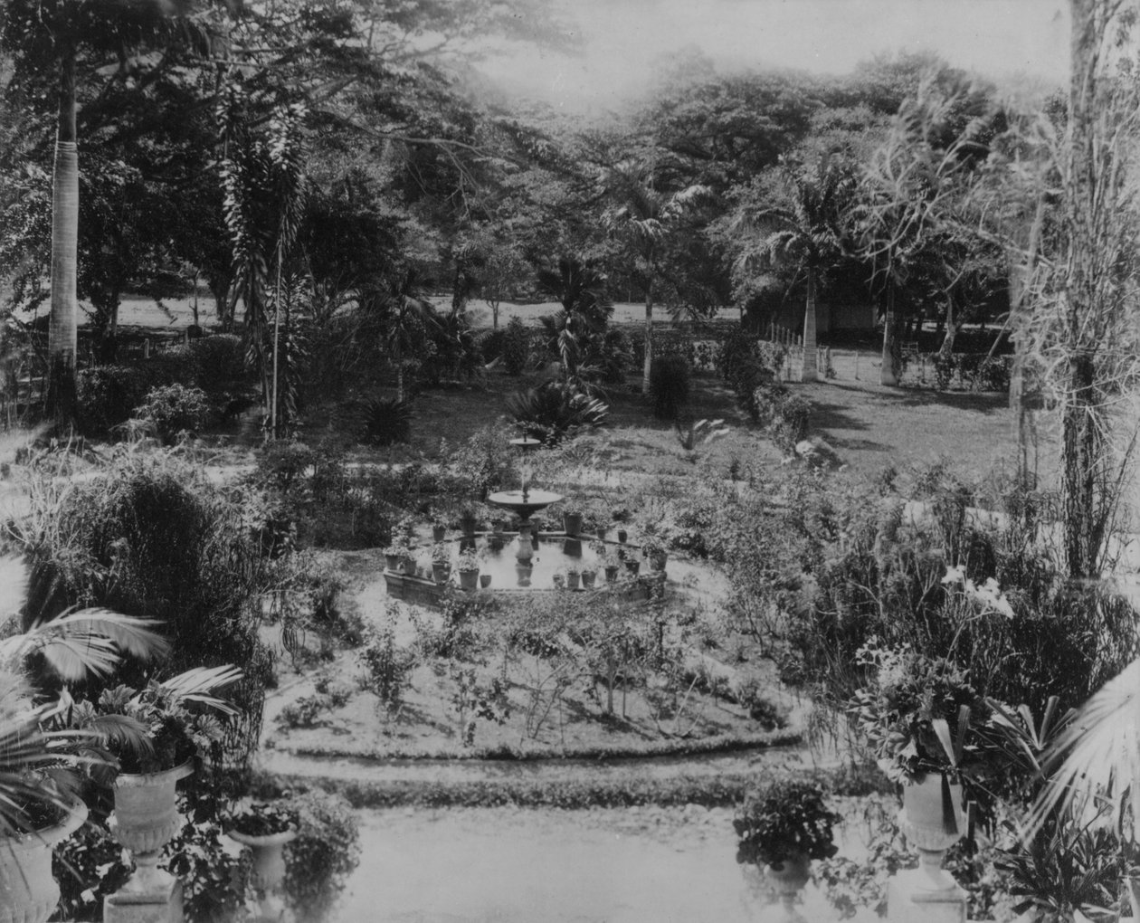 Bir Banliyö Villasının Bahçesi, İspanya Limanı, Trinidad by English Photographer