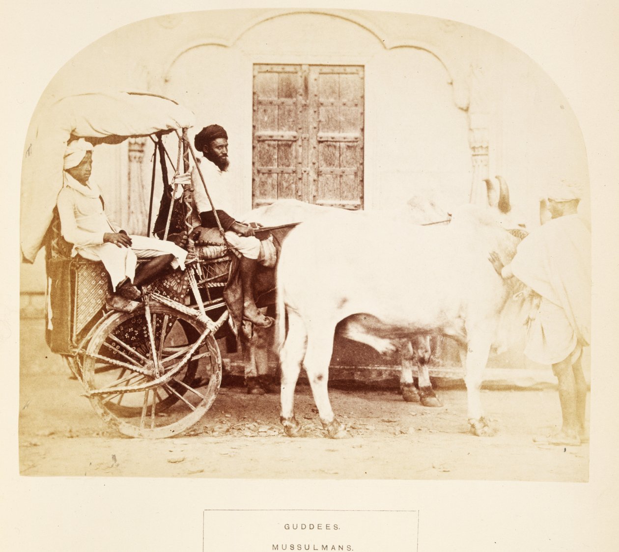 Guddees, Mussulmans, Rajpootana, from The People of India, J. Forbes Watson tarafından, 1868