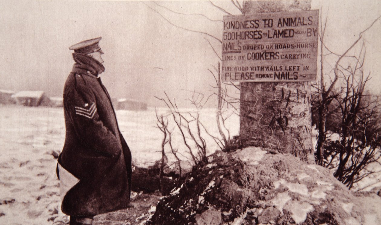 Hayvanlara Nezaket, The Illustrated War News