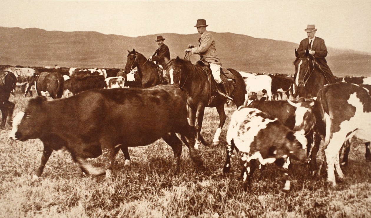 King Edward VIII Alberta, Kanada