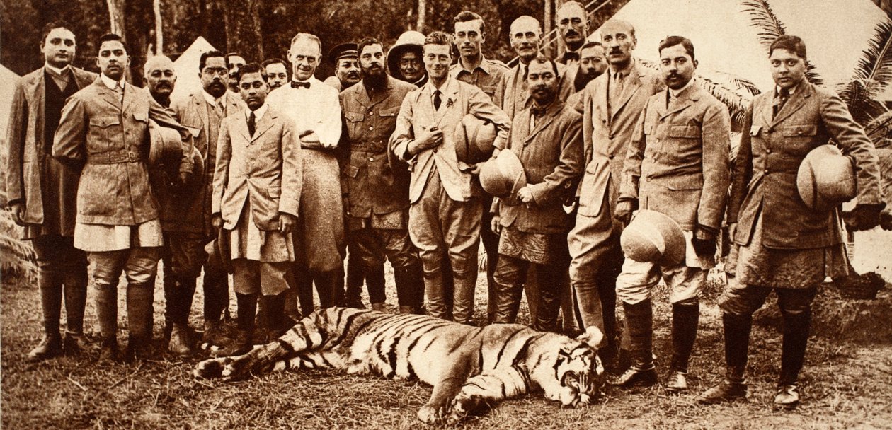 Kral Edward VIII